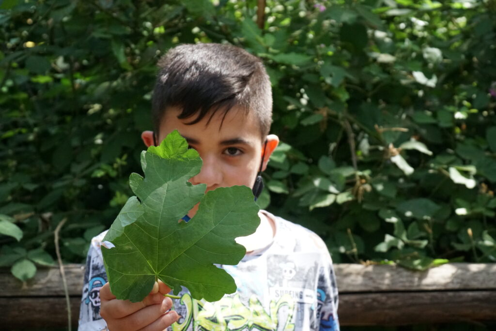 Grande Cinema Dei Piccoli 2021